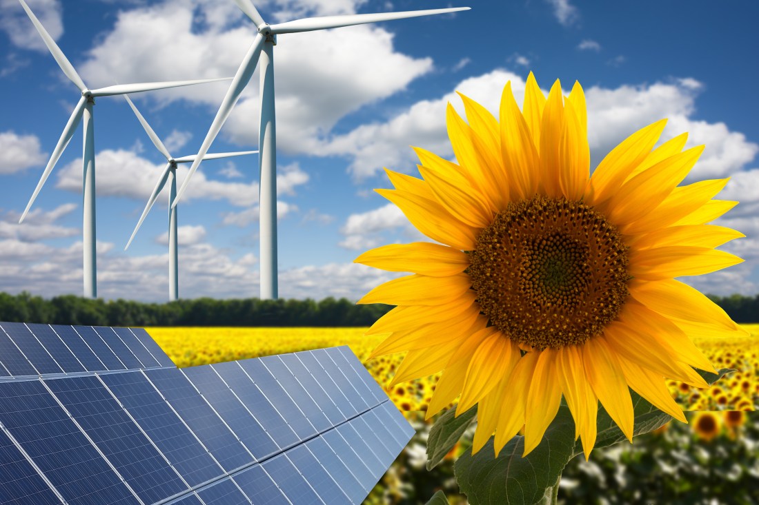 Green energy or renewables on sun flower field, wind turbines and solar panels on a hot summer day